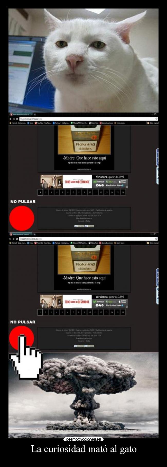 La curiosidad mató al gato -