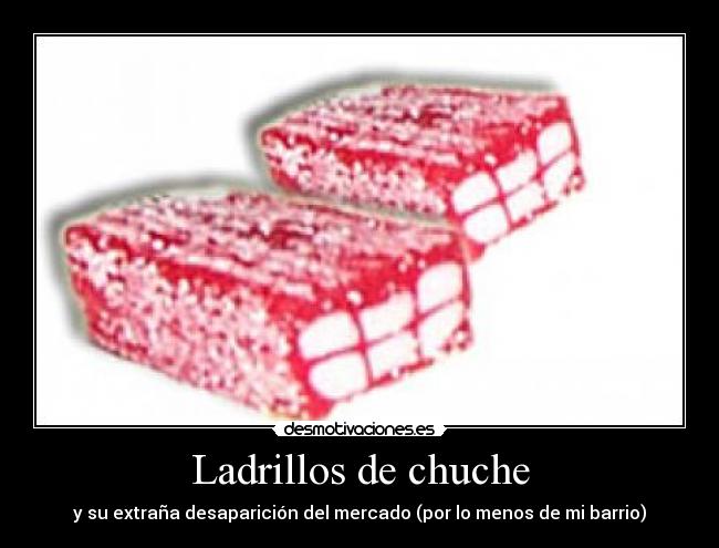 Ladrillos de chuche -