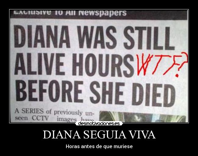 DIANA SEGUIA VIVA -