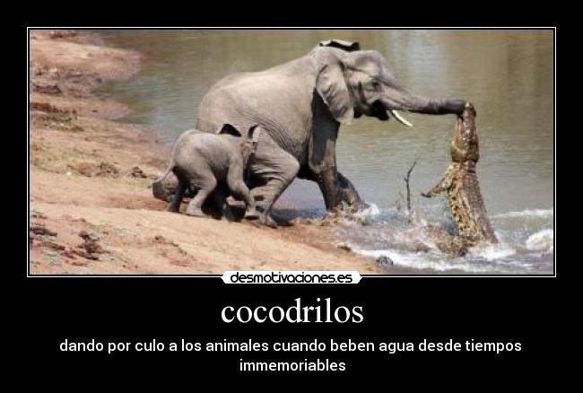 carteles larnet desmotivaciones