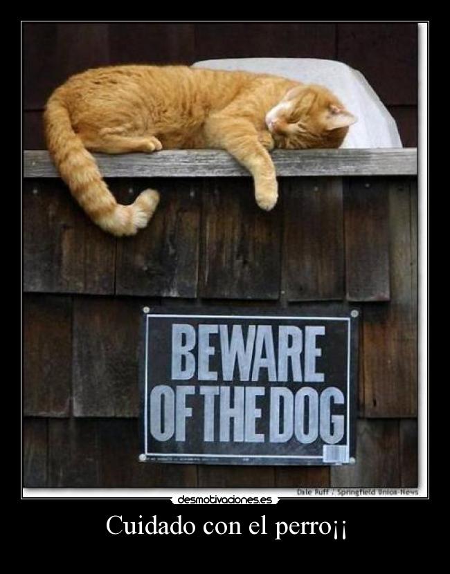 Cuidado con el perro¡¡ -