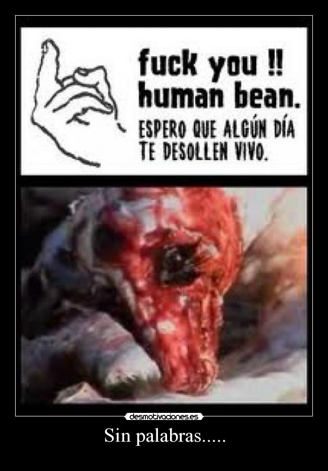 carteles palabras desmotivaciones