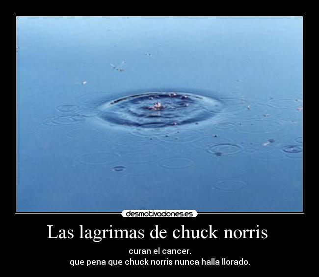 Las lagrimas de chuck norris -