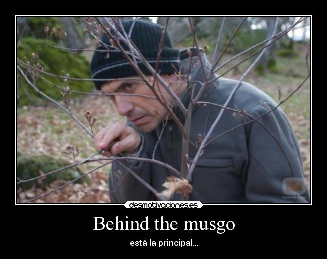 Behind the musgo - 
