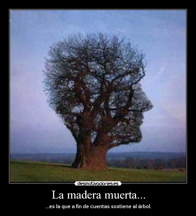La madera muerta... - ...es la que a fin de cuentas sostiene al árbol.