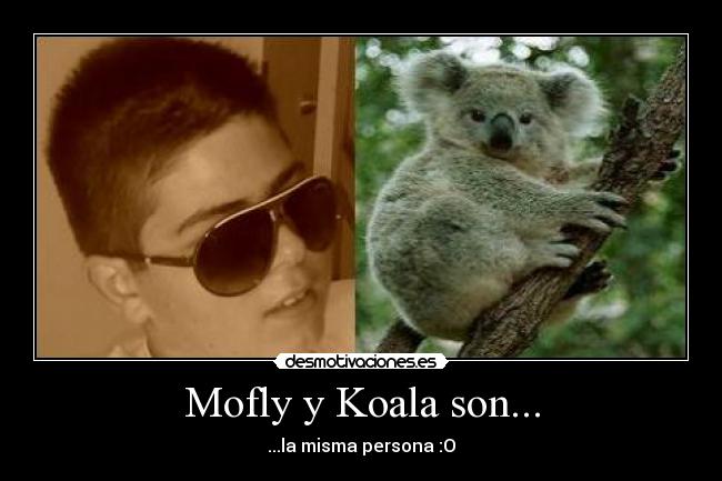 Mofly y Koala son... -