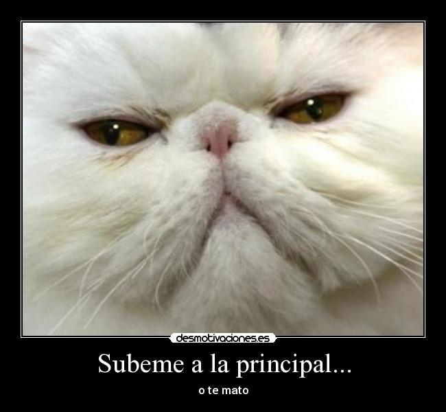 Subeme a la principal... -