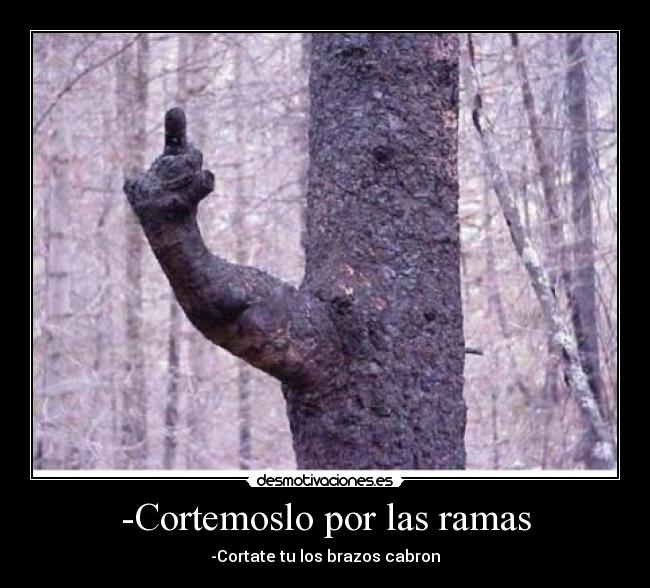 -Cortemoslo por las ramas - 