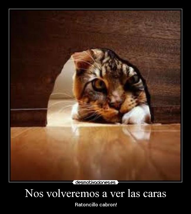 Nos volveremos a ver las caras - 