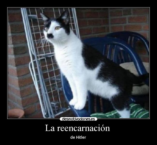La reencarnación -