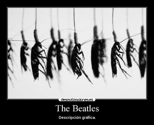 The Beatles - Descripción gráfica.