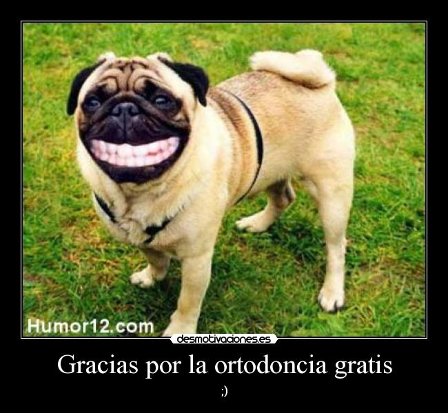 Gracias por la ortodoncia gratis - ;)