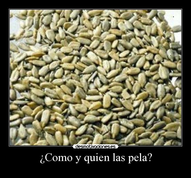 ¿Como y quien las pela? -