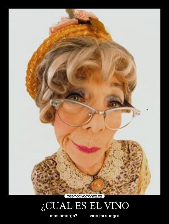 ¿CUAL ES EL VINO - 