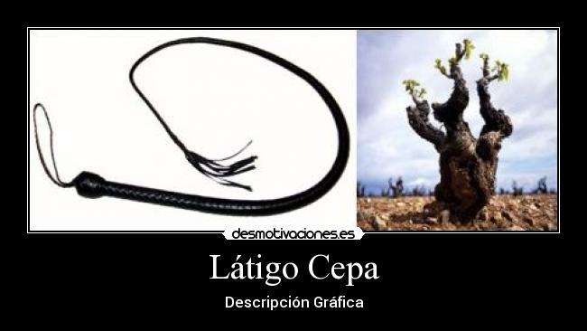 Látigo Cepa -