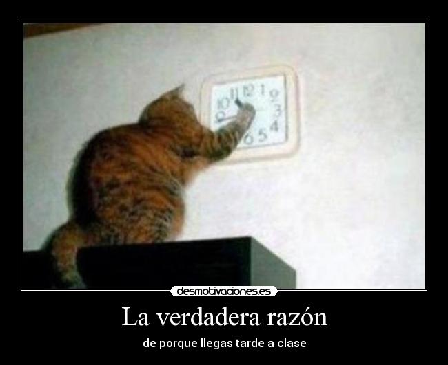 La verdadera razón - de porque llegas tarde a clase