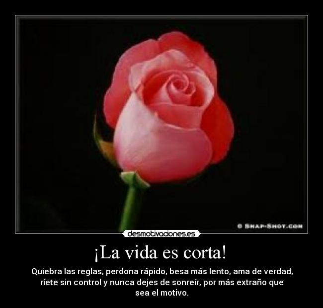 ¡La vida es corta! - Quiebra las reglas, perdona rápido, besa más lento, ama de verdad,
ríete sin control y nunca dejes de sonreír, por más extraño que
sea el motivo.