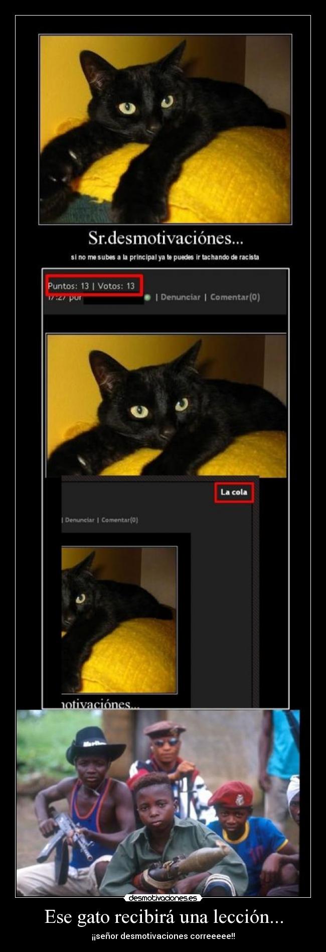 Ese gato recibirá una lección... -