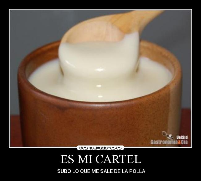 ES MI CARTEL - SUBO LO QUE ME SALE DE LA POLLA