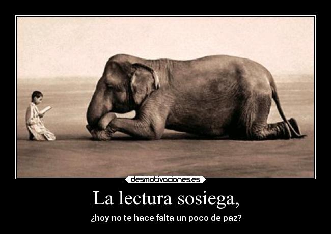 La lectura sosiega, - 