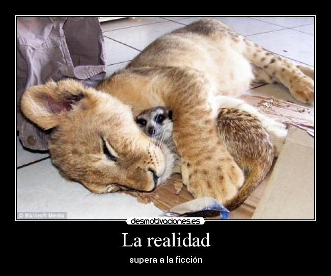 La realidad -