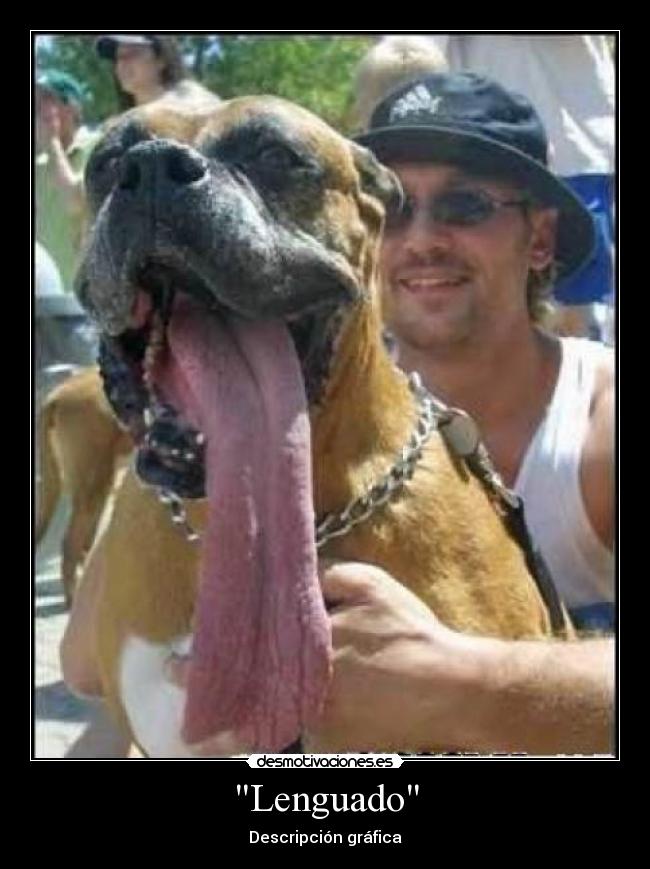 Lenguado - Descripción gráfica