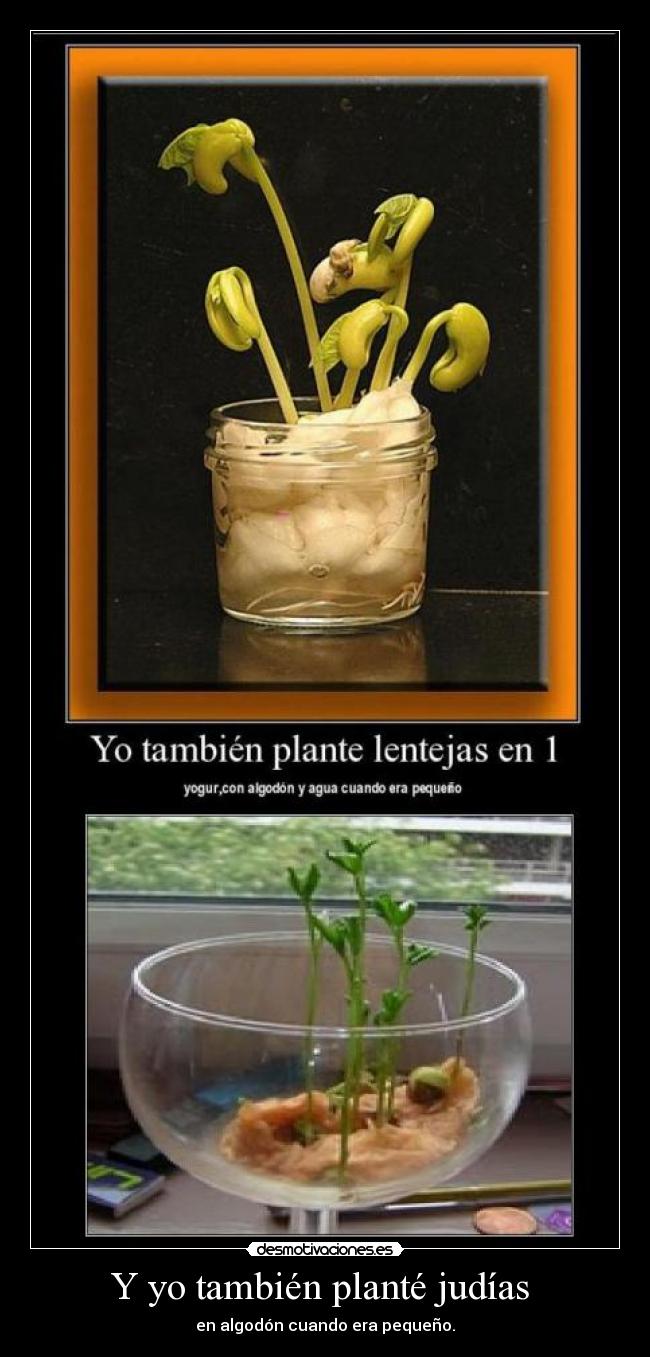 carteles judias lentejas desmotivaciones