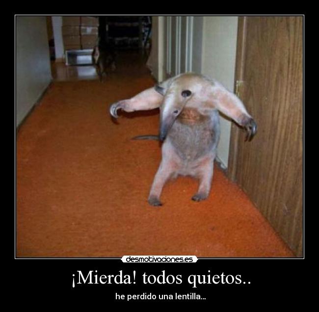 ¡Mierda! todos quietos.. -