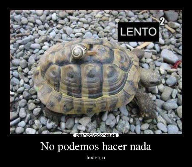 No podemos hacer nada - losiento.