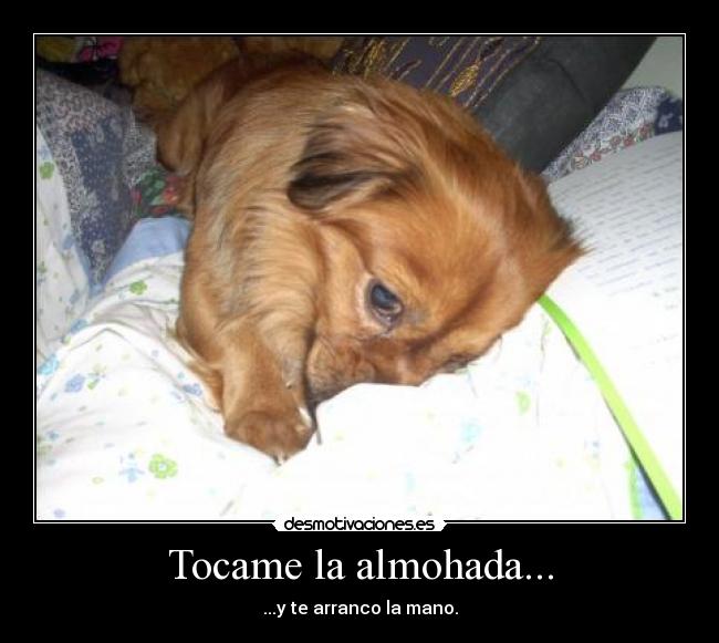 Tocame la almohada... - 