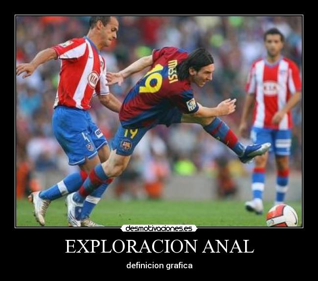 EXPLORACION ANAL - definicion grafica