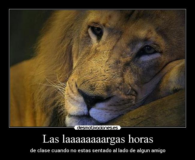 carteles leon desmotivaciones