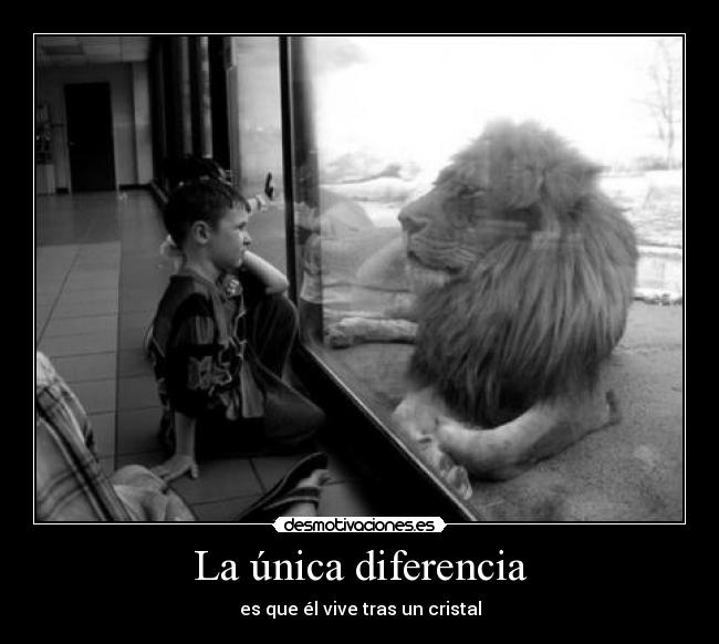 La única diferencia -