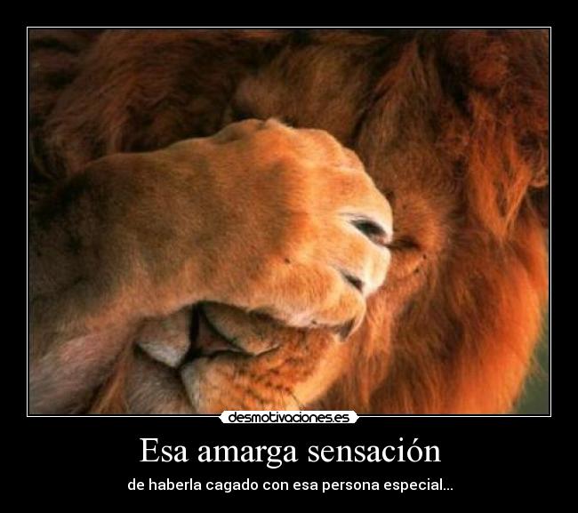 Esa amarga sensación - de haberla cagado con esa persona especial...