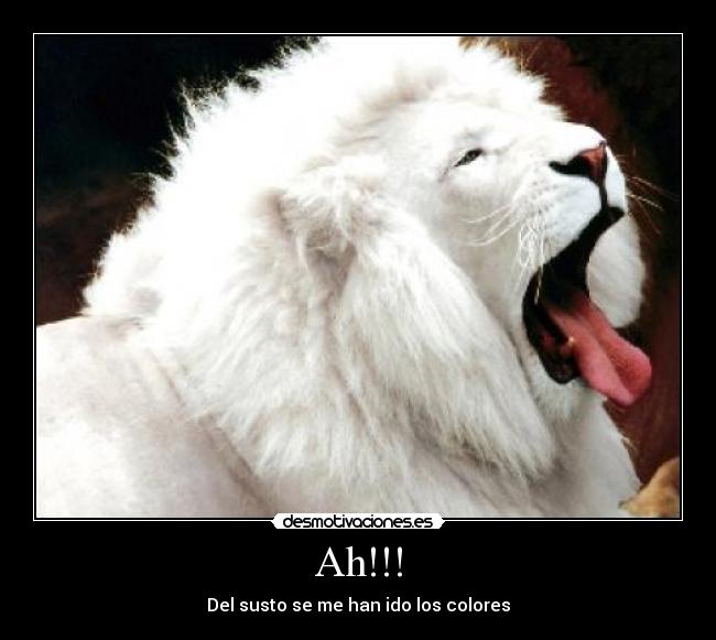 Ah!!! - Del susto se me han ido los colores