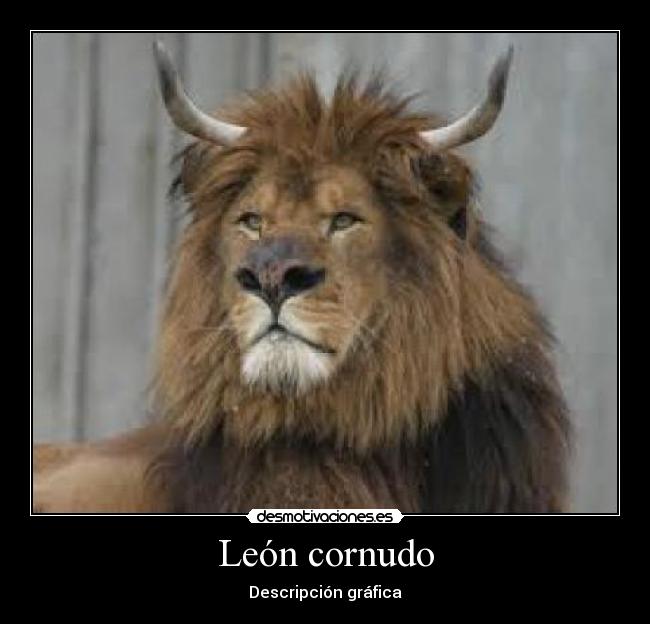 carteles humor desmotivaciones