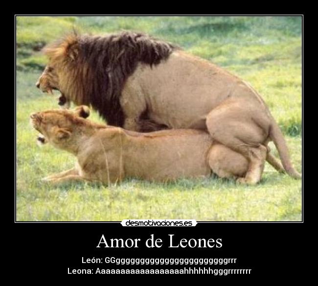 carteles amor amor desmotivaciones