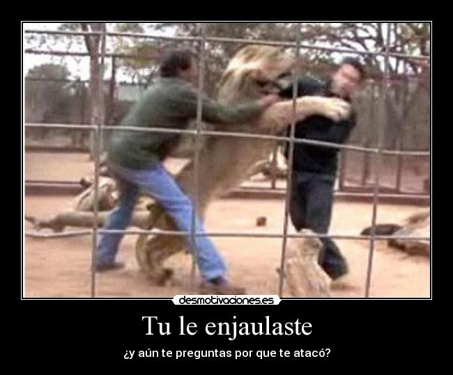 Tu le enjaulaste - ¿y aún te preguntas por que te atacó?