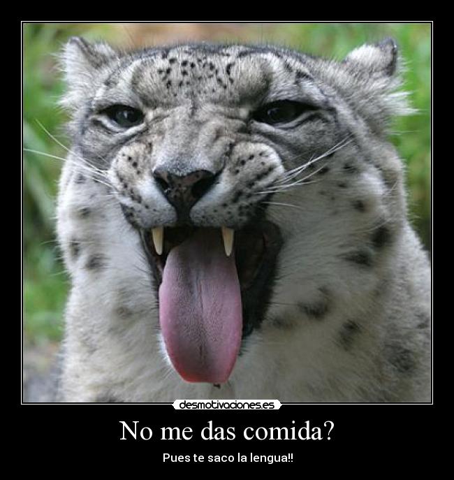 No me das comida? - 