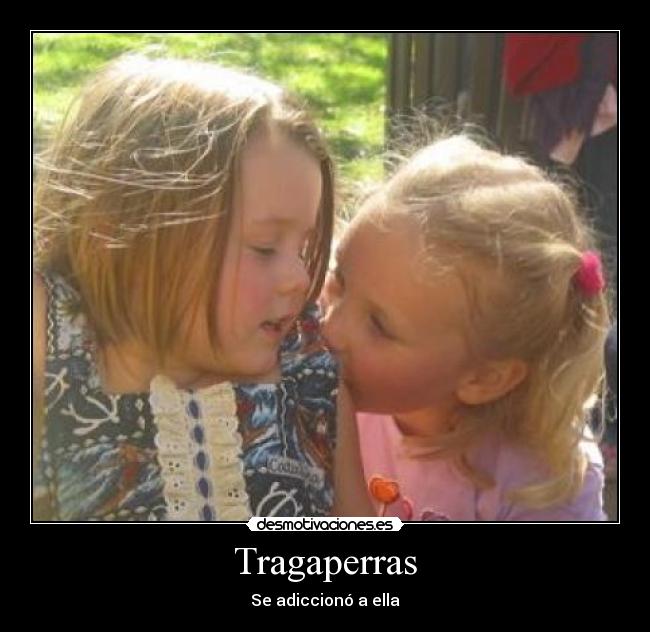 carteles traga perras desmotivaciones