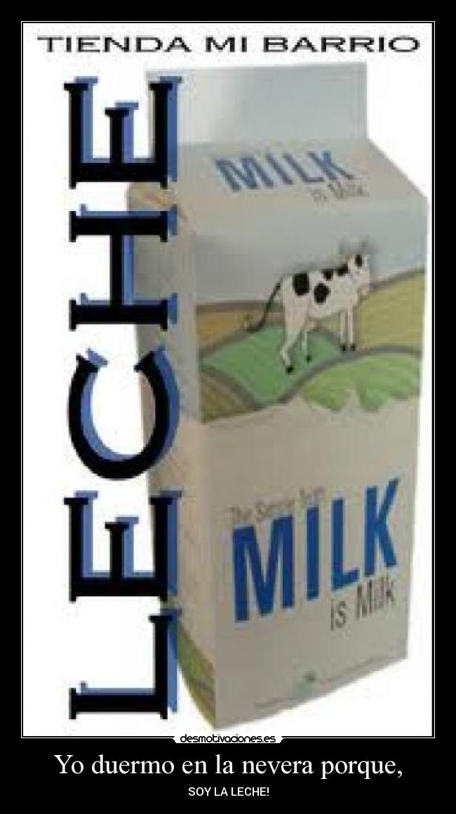 Yo duermo en la nevera porque, - 