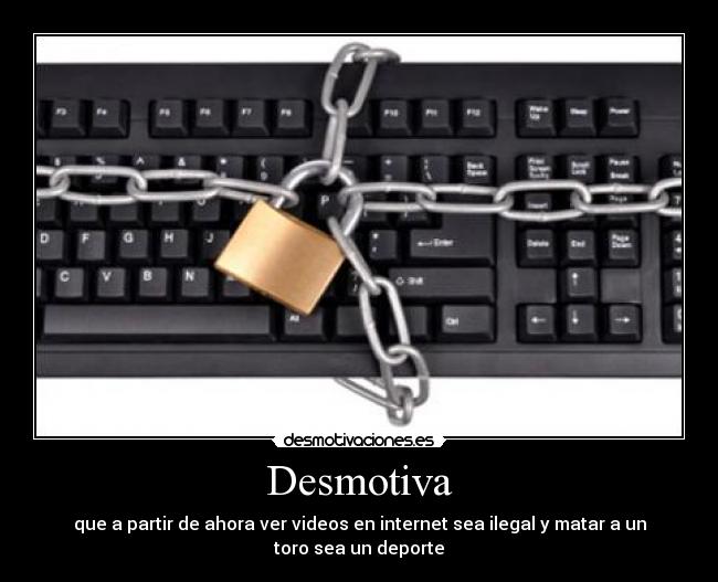 Desmotiva - que a partir de ahora ver videos en internet sea ilegal y matar a un toro sea un deporte