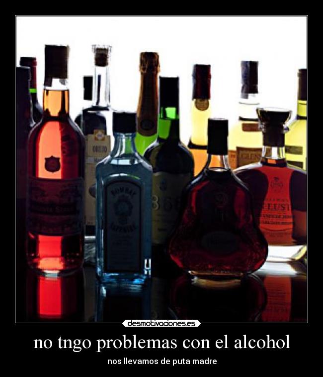 no tngo problemas con el alcohol - nos llevamos de puta madre