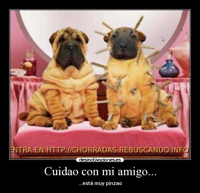 Cuidao con mi amigo... - ...está muy pinzao