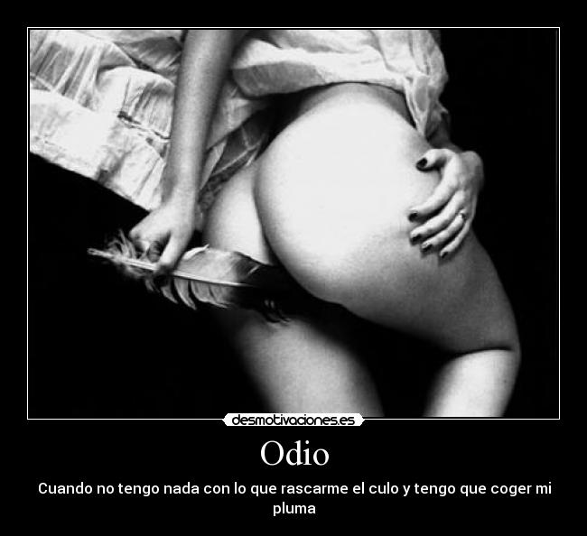 Odio - 