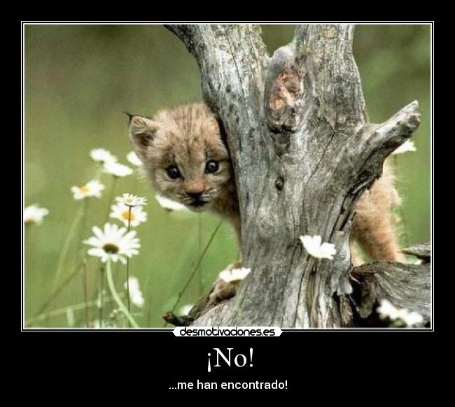 ¡No! -