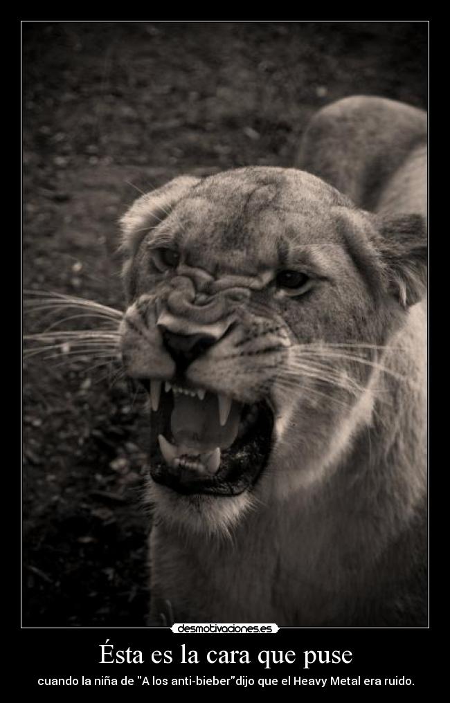 carteles cara leon enfado animal nina anti bieber heavy metal musica ruido imbecil esta desmotivaciones