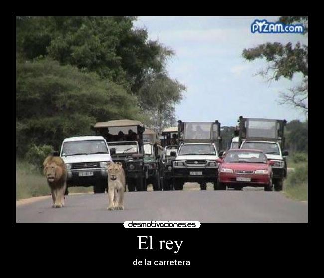 El rey - de la carretera