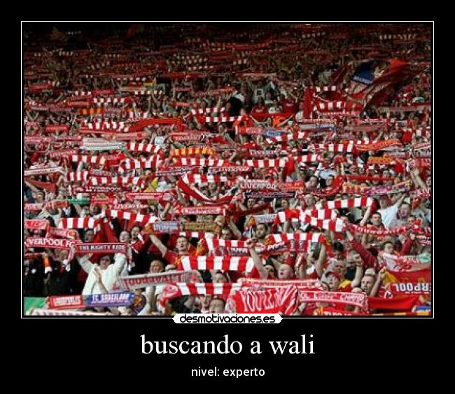 buscando a wali - nivel: experto