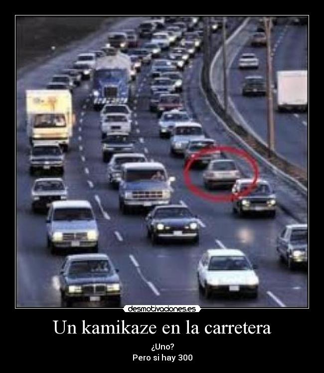 Un kamikaze en la carretera - ¿Uno?
Pero si hay 300